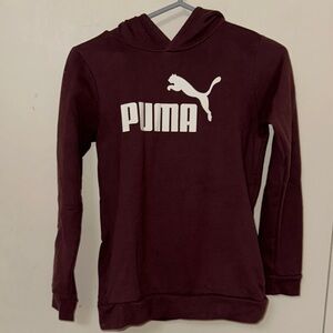 Puma Women's Maroon Hoodie Sweater